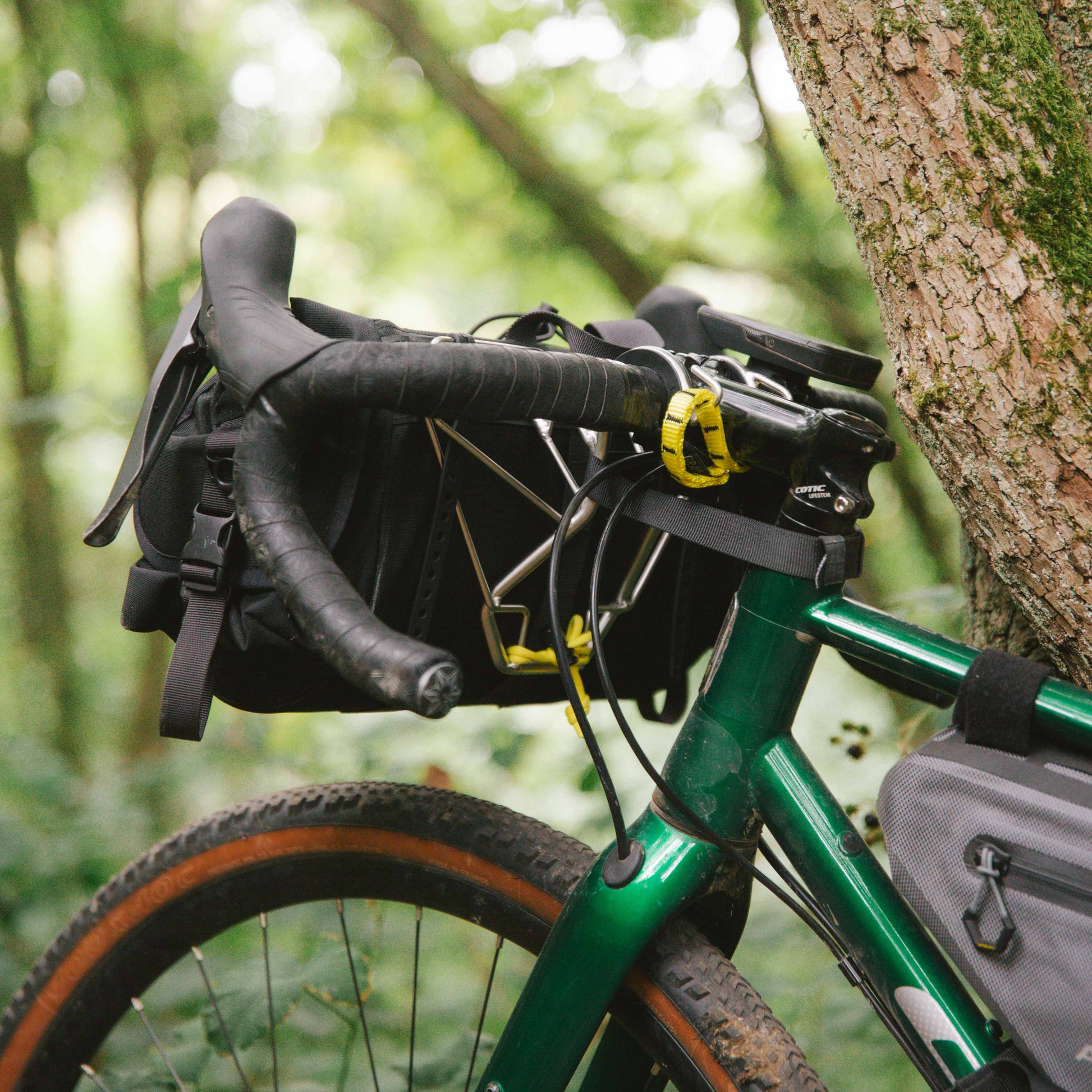 Green bicycle with gear attached leaning against a tree in a forest